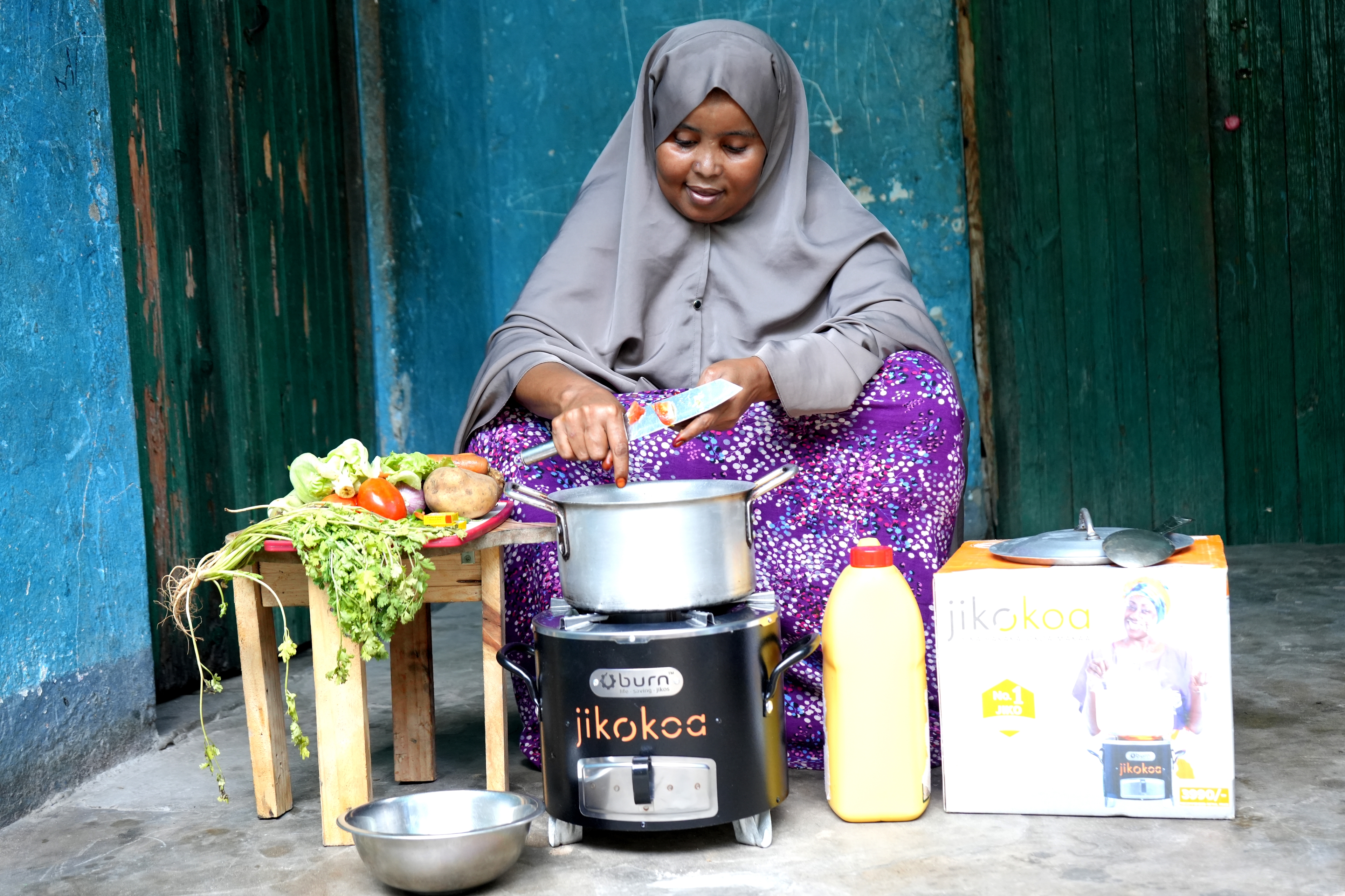 Project Overview (Somalia)
