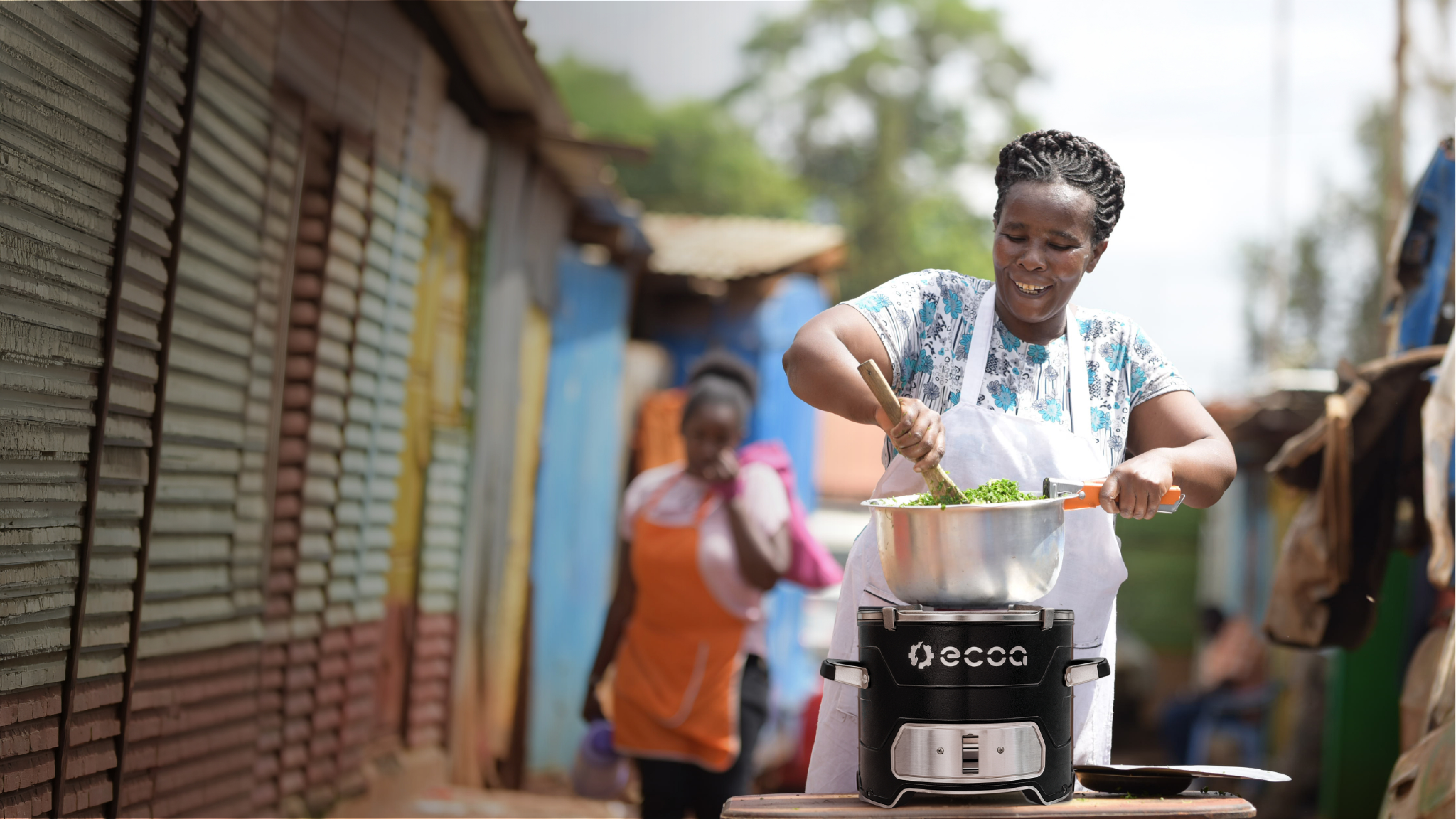 The Small Intervention That Could Be One of the World’s Most Cost-Effective Climate Solutions